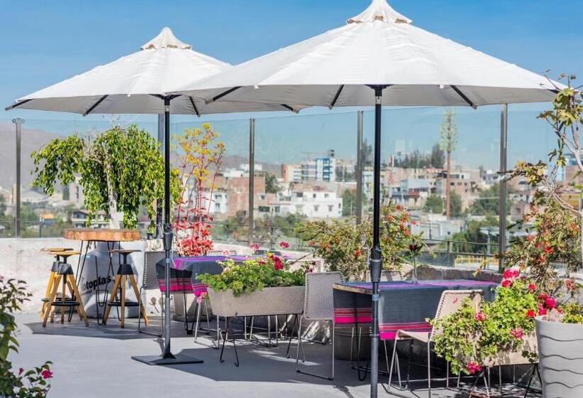 Fotos del hotel Palla Boutique:  10