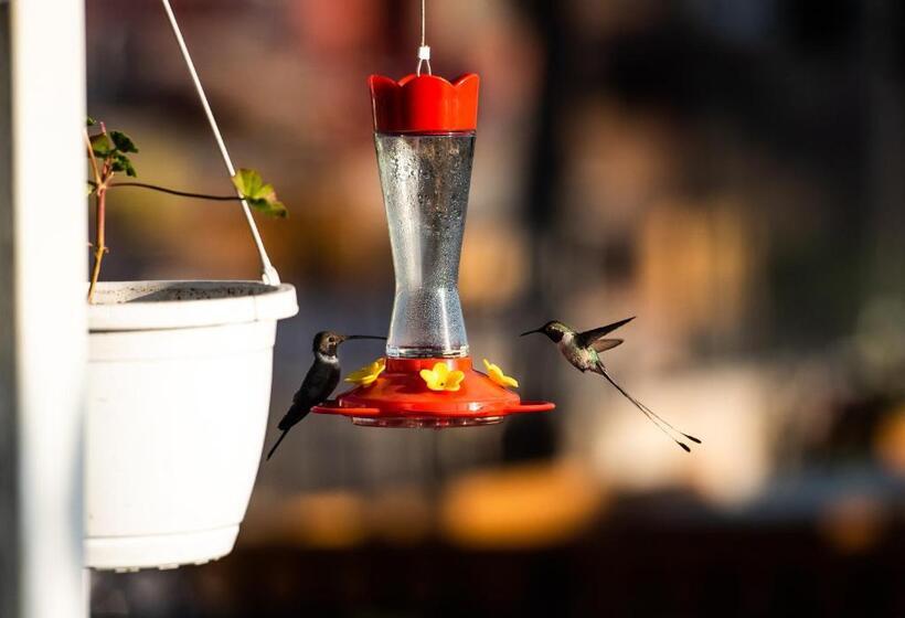 Fotos del hotel Palla Boutique:  6