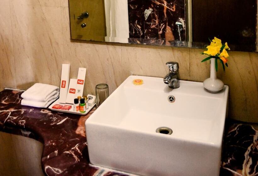 Fotos del hotel Laxmi Villa Palace:  10