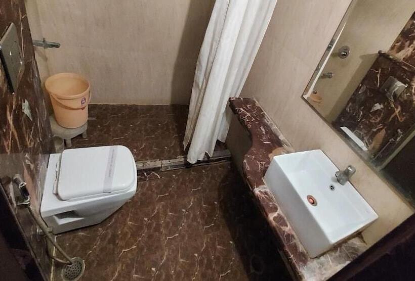 Fotos del hotel Laxmi Villa Palace:  5