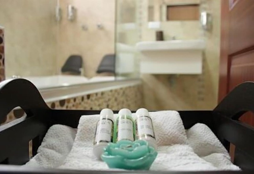 Fotos del hotel Boutique Casa Suiza:  11