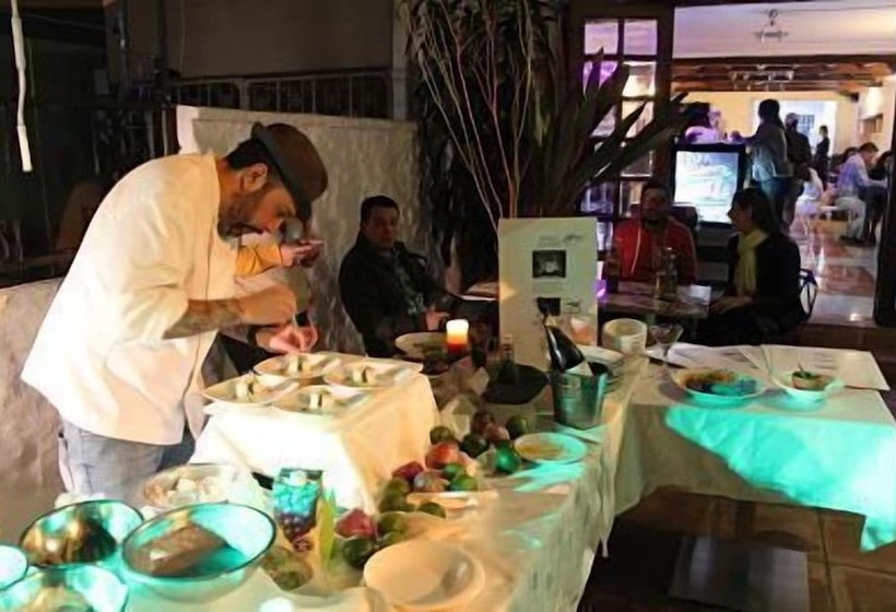 Fotos del hotel Boutique Casa Suiza:  9