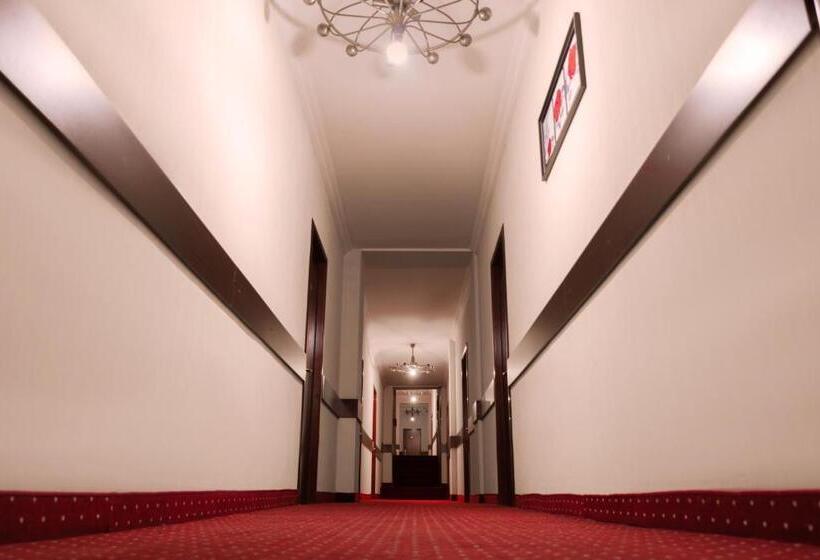 Fotos del hotel Margo Palace:  3