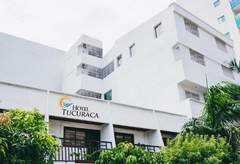 Fotos del hotel Tucuraca By Dot Tradition:  4