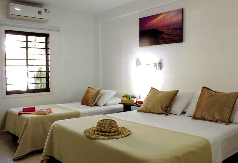 Fotos del hotel Tucuraca By Dot Tradition:  6