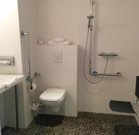 Fotos del hotel Comfort Hotel Expo Colmar:  10