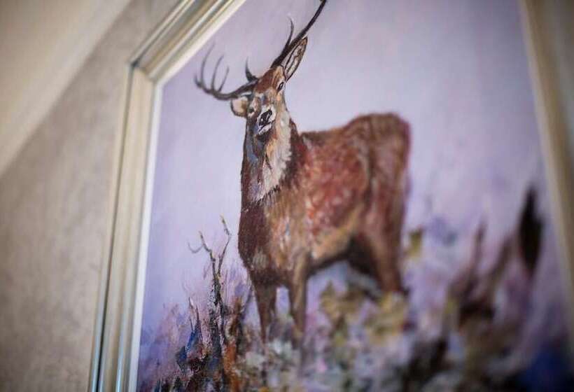 Fotos del hotel Cults:  6