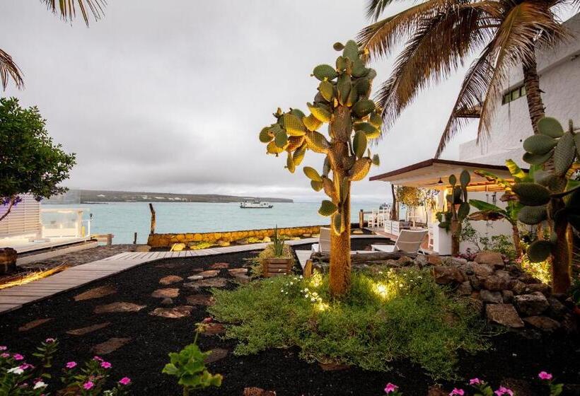 Fotos del hotel Cucuve:  17