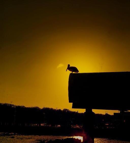 Fotos del hotel Cucuve:  23