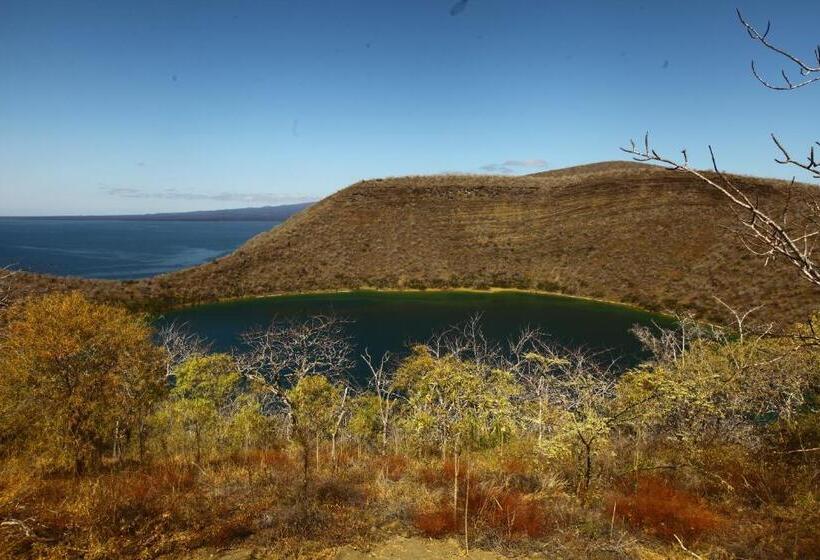 Fotos del hotel Cucuve:  11