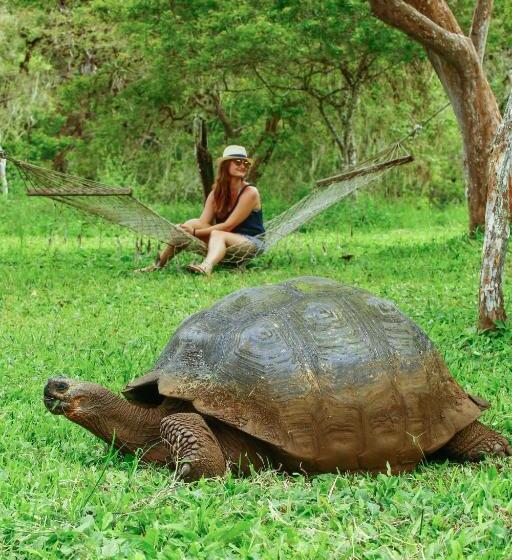 Fotos del hotel Cucuve:  13