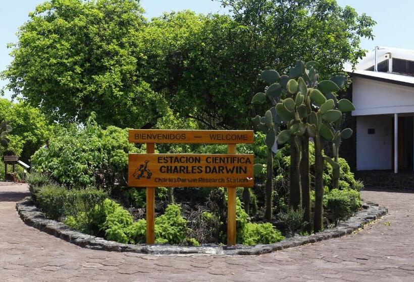 Fotos del hotel Cucuve:  10