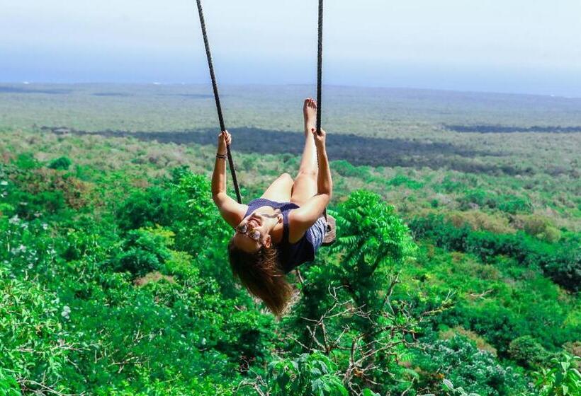 Fotos del hotel Cucuve:  14