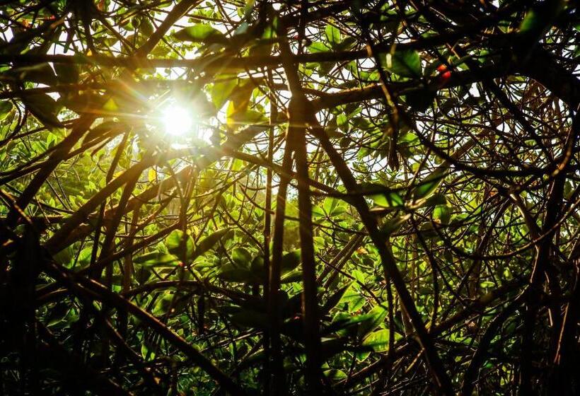 Fotos del hotel Cucuve:  16