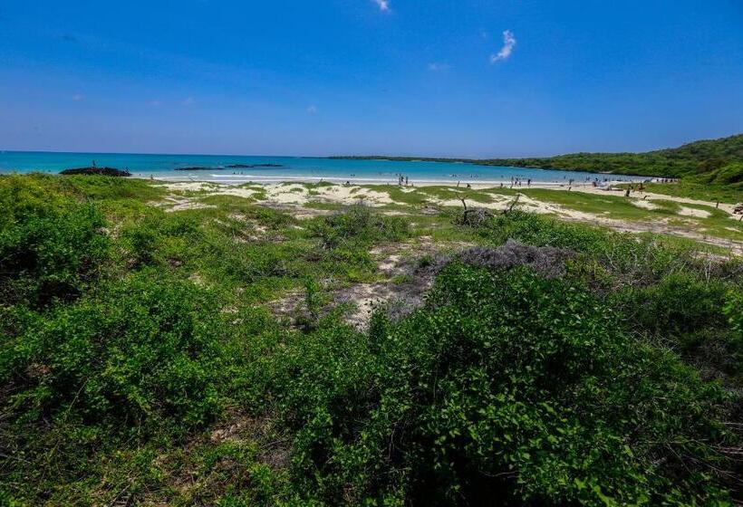 Fotos del hotel Cucuve:  5