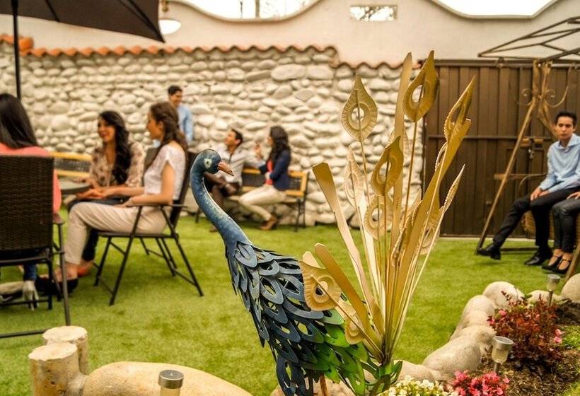 Fotos del hotel Kuna:  10