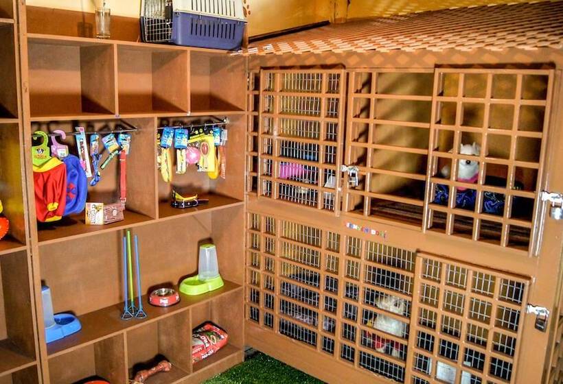 Fotos del hotel Kuna:  4