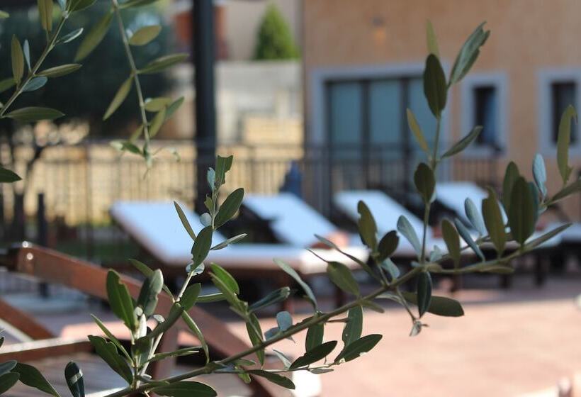 Fotos del hotel Casa Alice:  3