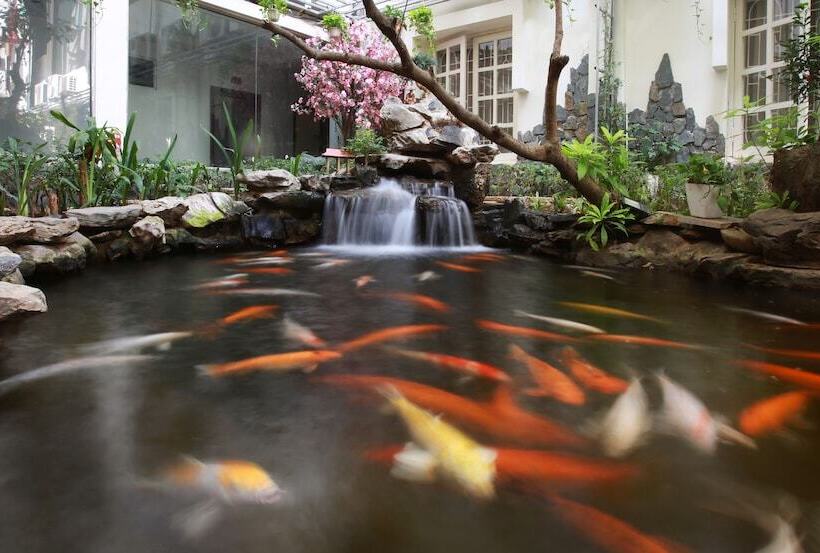 Fotos del hotel Hacinco:  8