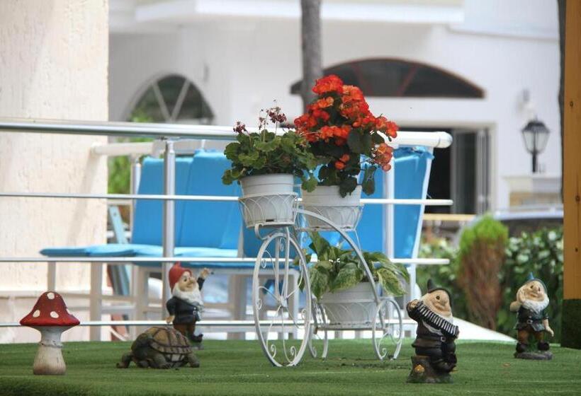 Fotos del hotel Kamomil:  5