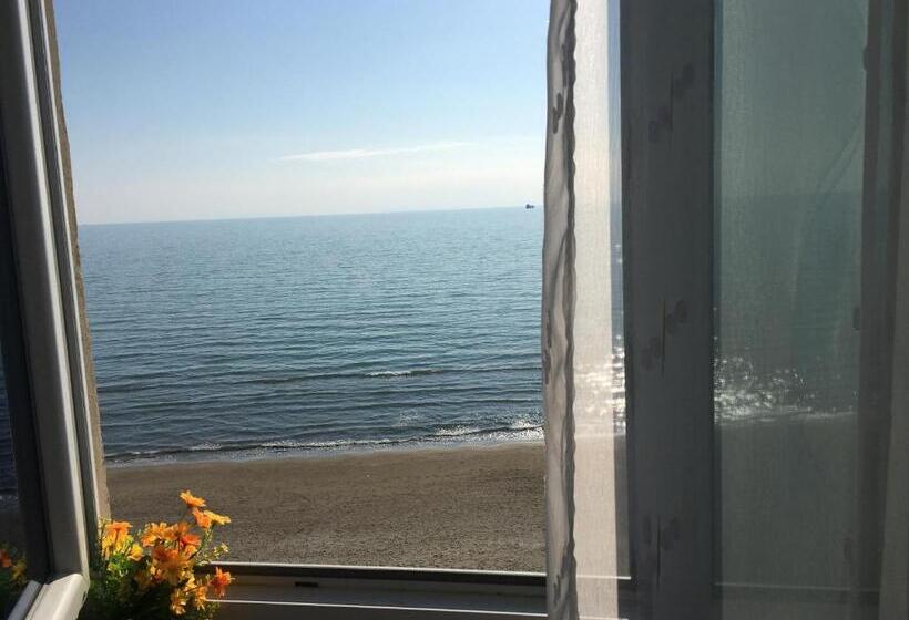 Fotos del hotel Kamomil:  13