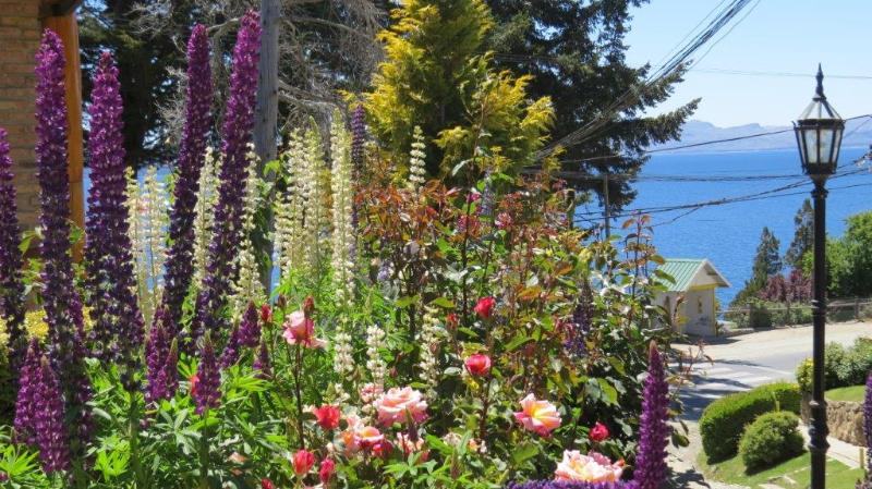 Fotos del hotel Lejano Nahuel:  5