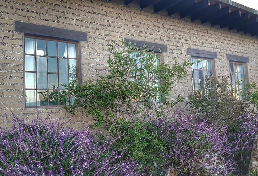 Fotos del hotel El Macehual:  7