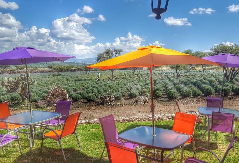 Fotos del hotel El Macehual:  21