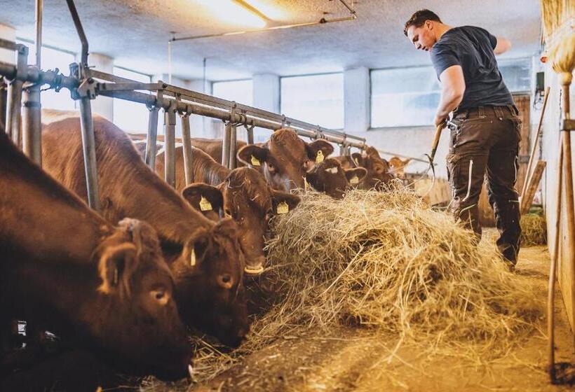 Fotos del hotel Vorderronach:  4