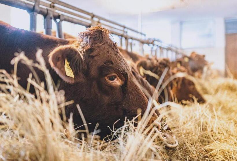 Fotos del hotel Vorderronach:  8