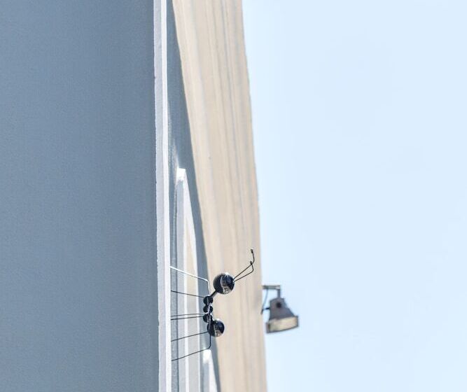 Fotos del hotel Rm Guest House  The Experience:  16