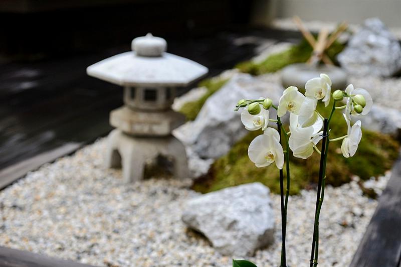 Fotos del hotel Yadoya:  15