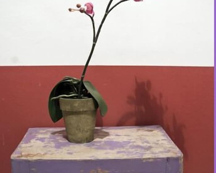 Fotos del hotel Cristoforo Colombo:  5