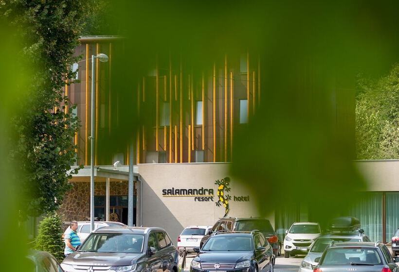 Fotos del hotel Salamandra:  16