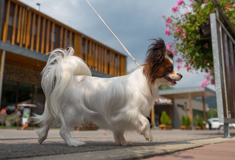 Fotos del hotel Salamandra:  6