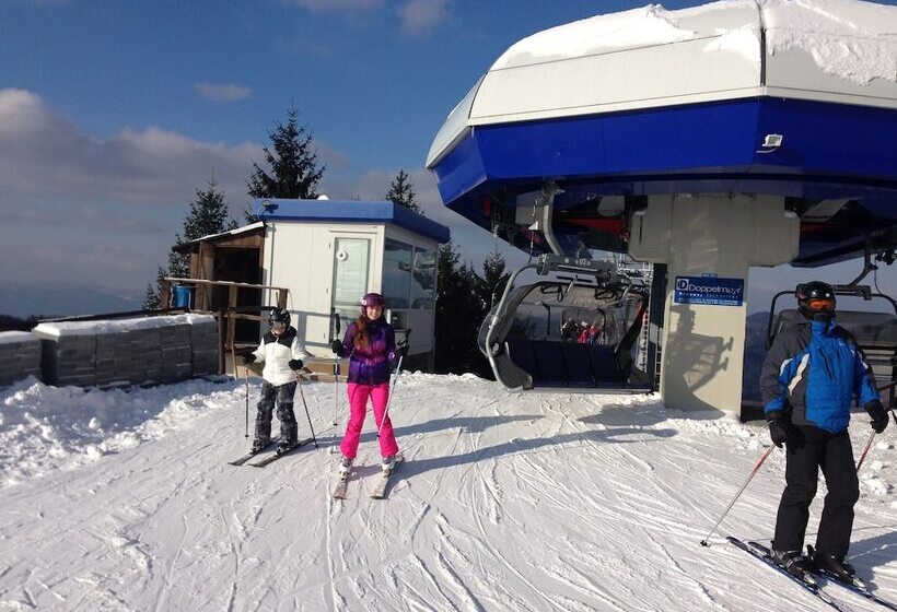 Fotos del hotel Salamandra:  20