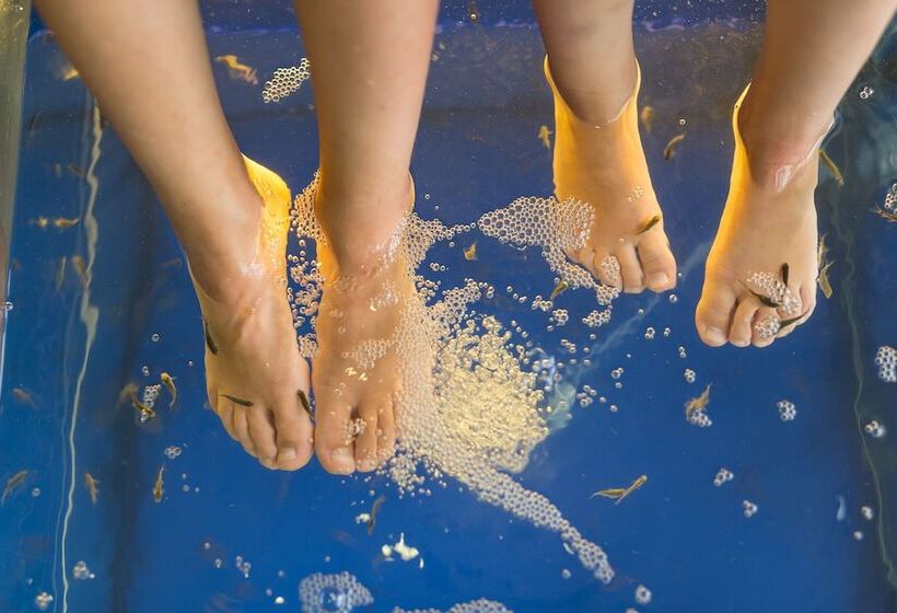 Fotos del hotel Salamandra:  21