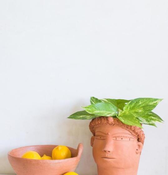 Fotos del hotel Sanara Tulum:  4