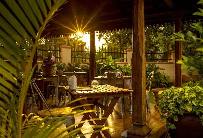 Fotos del hotel Villa Kololo:  10