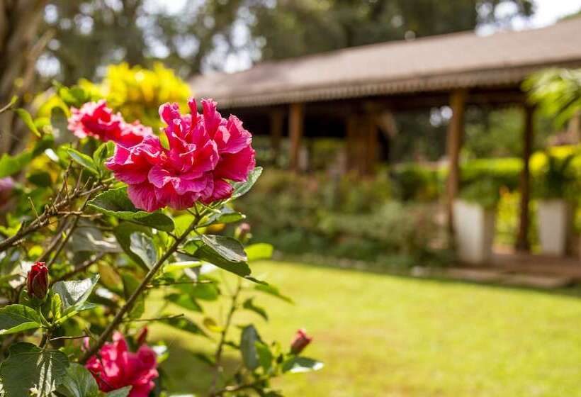 Fotos del hotel Villa Kololo:  6