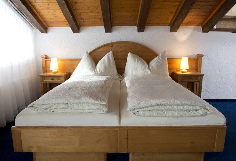 Fotos del hotel Plateau Rosa:  25