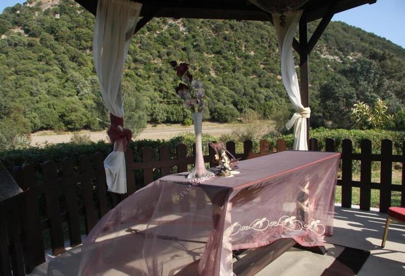 Fotos del hotel El Paso:  4