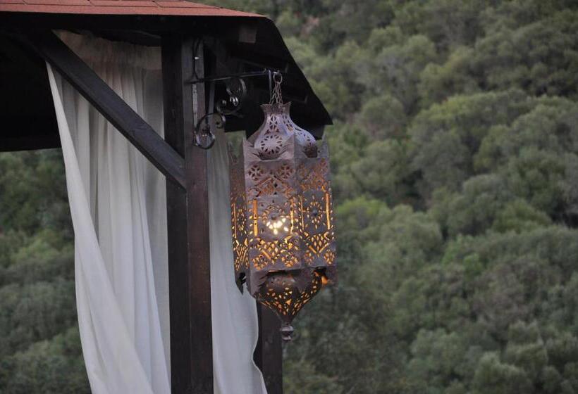 Fotos del hotel El Paso:  14