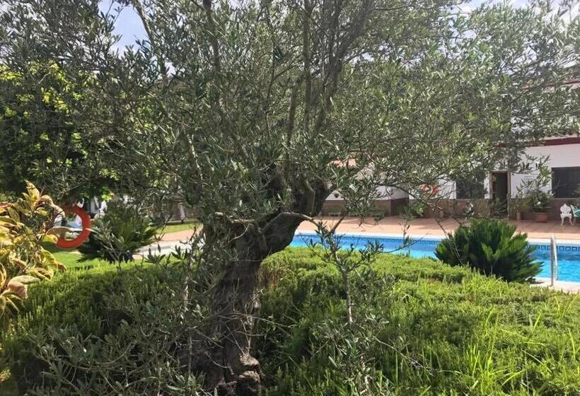 Fotos del hotel El Paso:  21