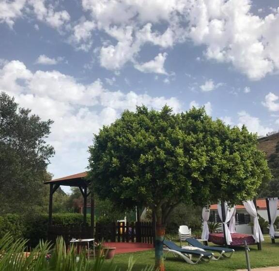 Fotos del hotel El Paso:  18