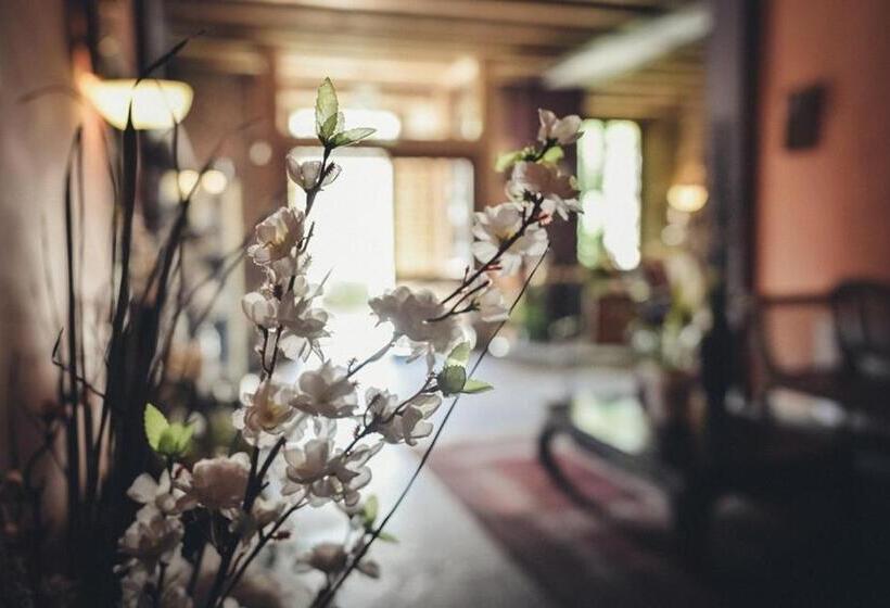 Fotos del hotel El Señorio De La Serrezuela:  24