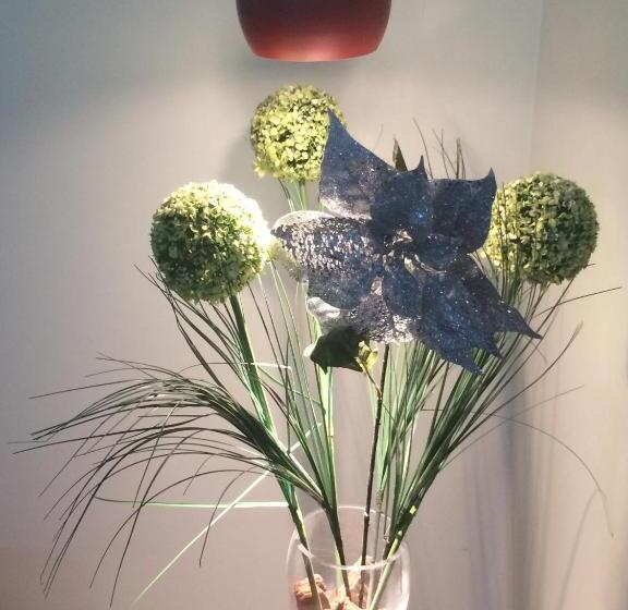 Fotos del hotel Paraiso:  17