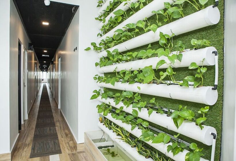 Fotos del hotel Bzz  Skudai:  4