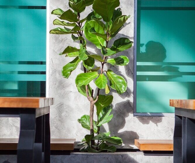 Fotos del hotel Bzz  Skudai:  14