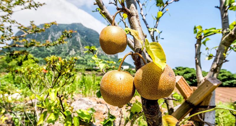 Fotos del hotel Lucid M:  11